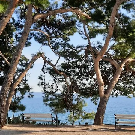 Lägenhet Lulu Split