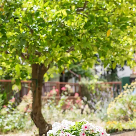 Lulu Lägenhet Split